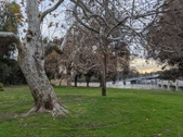 Enlarge photo 49