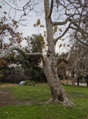Enlarge photo 50