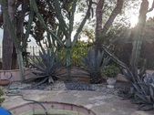 Enlarge photo 30