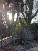 Enlarge photo 31