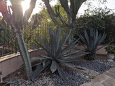 Enlarge photo 32