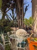 Enlarge photo 39