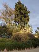 Enlarge photo 40