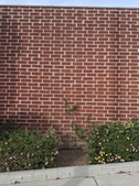Eagle Rock Exterior