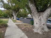 Enlarge photo 47