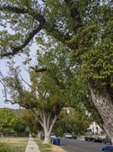 Enlarge photo 48
