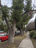 Enlarge photo 49
