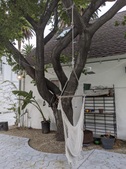Enlarge photo 38