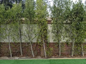 Enlarge photo 43
