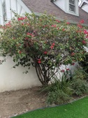 Enlarge photo 49