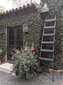Enlarge photo 24
