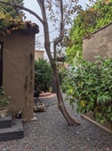 Enlarge photo 27