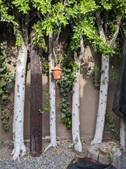Enlarge photo 32