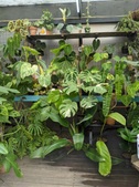 Enlarge photo 35