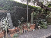 Enlarge photo 45