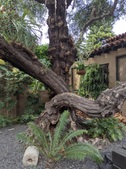 Enlarge photo 46
