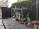 Enlarge photo 51