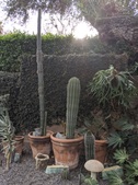 Enlarge photo 52