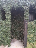 Enlarge photo 59