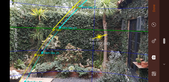 Enlarge photo 61
