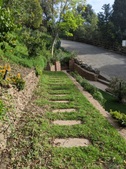 Enlarge photo 30