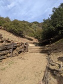 Enlarge photo 43