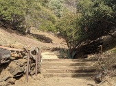 Enlarge photo 44
