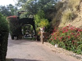 Enlarge photo 48