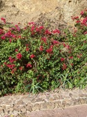 Enlarge photo 50