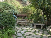 Enlarge photo 52
