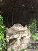 Enlarge photo 53