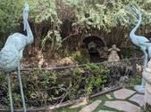 Enlarge photo 54