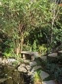Enlarge photo 58