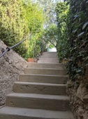 Enlarge photo 74