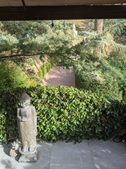 Enlarge photo 78