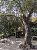 Enlarge photo 125