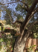 Enlarge photo 126