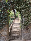 Enlarge photo 131