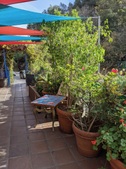 Enlarge photo 21