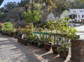 Enlarge photo 24