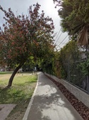 Enlarge photo 8