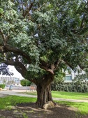 Enlarge photo 17
