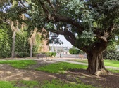 Enlarge photo 18