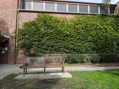Enlarge photo 19
