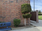 Enlarge photo 26
