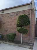 Enlarge photo 27