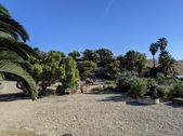 Enlarge photo 25