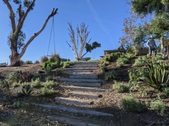 Enlarge photo 26