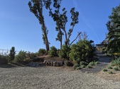 Enlarge photo 30