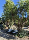 Enlarge photo 31